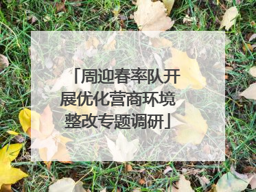 周迎春率队开展优化营商环境整改专题调研