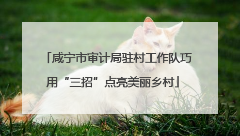 咸宁市审计局驻村工作队巧用“三招”点亮美丽乡村