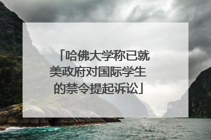 哈佛大学称已就美政府对国际学生的禁令提起诉讼