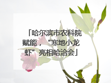 哈尔滨市农科院赋能，“寒地小龙虾”亮相哈洽会