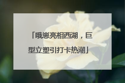 哦崽亮相西湖，巨型立塑引打卡热潮