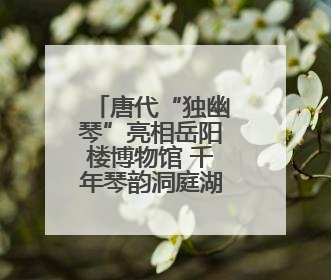唐代“独幽琴”亮相岳阳楼博物馆 千年琴韵洞庭湖畔苏醒