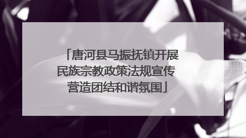 唐河县马振抚镇开展民族宗教政策法规宣传 营造团结和谐氛围