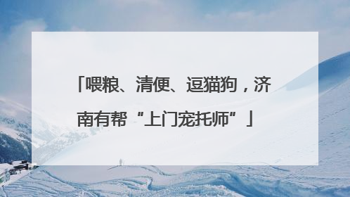 喂粮、清便、逗猫狗，济南有帮“上门宠托师”