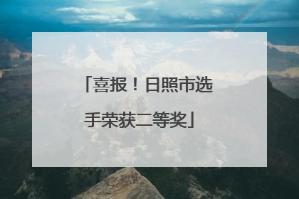 喜报！日照市选手荣获二等奖