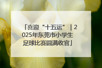喜迎“十五运”｜2025年东莞市小学生足球比赛圆满收官