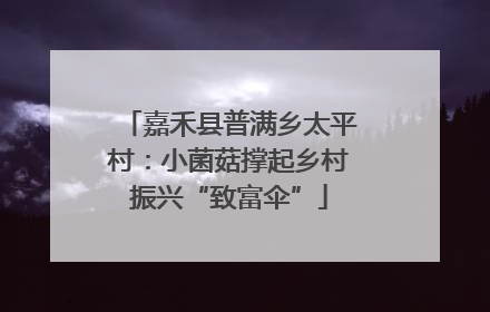 嘉禾县普满乡太平村：小菌菇撑起乡村振兴“致富伞”