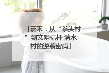嘉禾：从“拳头村”到文明标杆 清水村的逆袭密码