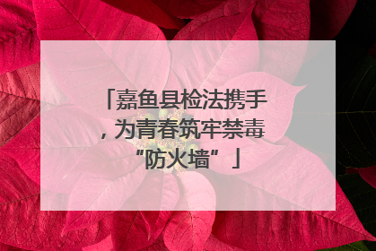 嘉鱼县检法携手，为青春筑牢禁毒“防火墙”