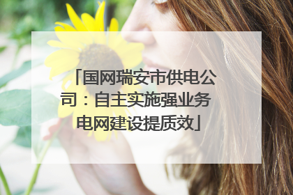 国网瑞安市供电公司：自主实施强业务 电网建设提质效