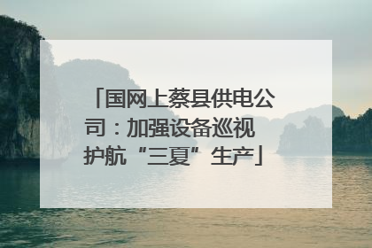 国网上蔡县供电公司：加强设备巡视 护航“三夏”生产