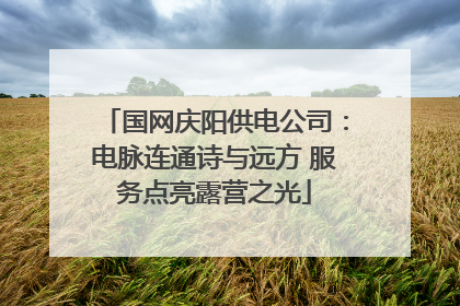 国网庆阳供电公司：电脉连通诗与远方 服务点亮露营之光