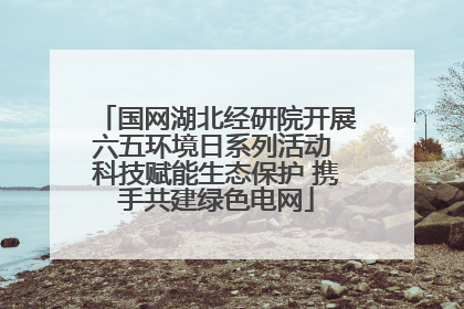 国网湖北经研院开展六五环境日系列活动 科技赋能生态保护 携手共建绿色电网