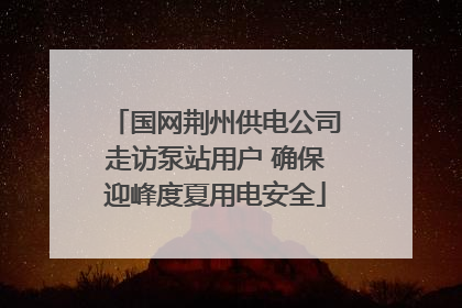 国网荆州供电公司走访泵站用户 确保迎峰度夏用电安全