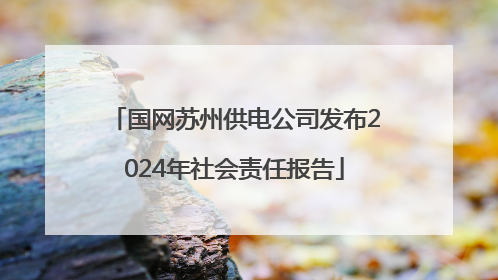 国网苏州供电公司发布2024年社会责任报告