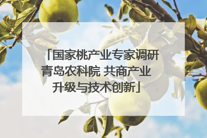 国家桃产业专家调研青岛农科院 共商产业升级与技术创新