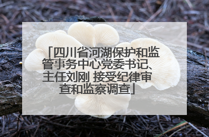 四川省河湖保护和监管事务中心党委书记、主任刘刚 接受纪律审查和监察调查
