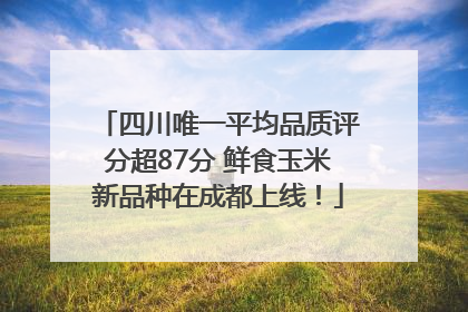 四川唯一平均品质评分超87分 鲜食玉米新品种在成都上线！