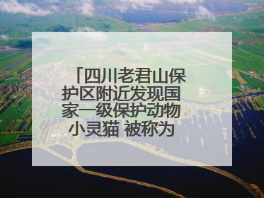 四川老君山保护区附近发现国家一级保护动物小灵猫 被称为“生态试纸”