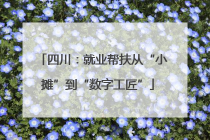 四川：就业帮扶从“小摊”到“数字工匠”