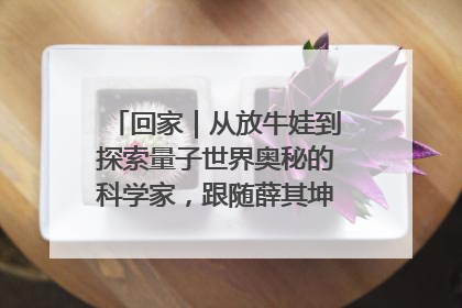回家｜从放牛娃到探索量子世界奥秘的科学家，跟随薛其坤重访梦想起点
