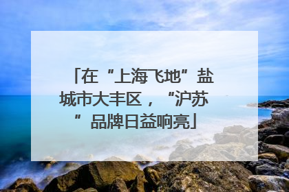 在“上海飞地”盐城市大丰区，“沪苏”品牌日益响亮