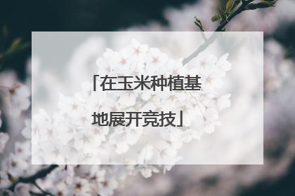 在玉米种植基地展开竞技