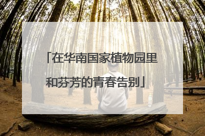 在华南国家植物园里和芬芳的青春告别