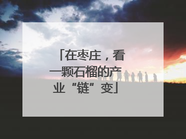 在枣庄，看一颗石榴的产业“链”变