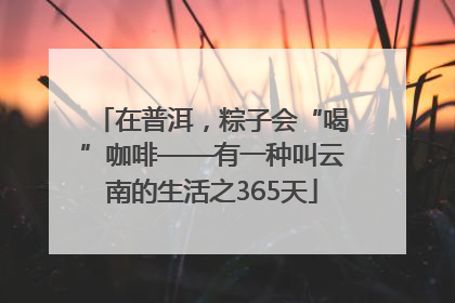 在普洱，粽子会“喝”咖啡——有一种叫云南的生活之365天