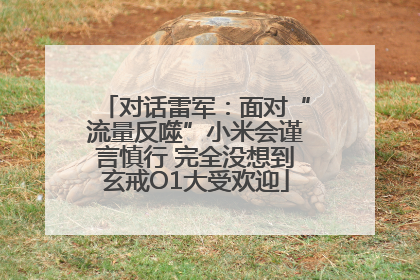 对话雷军：面对“流量反噬”小米会谨言慎行 完全没想到玄戒O1大受欢迎