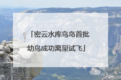 密云水库鸟岛首批幼鸟成功离巢试飞