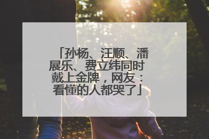孙杨、汪顺、潘展乐、费立纬同时戴上金牌，网友：看懂的人都哭了