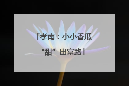 孝南：小小香瓜 “甜”出富路