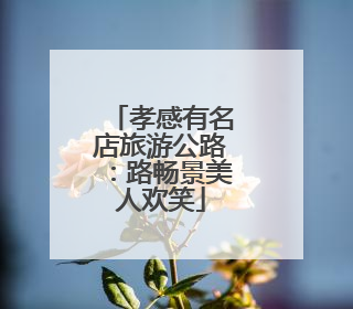 孝感有名店旅游公路：路畅景美人欢笑