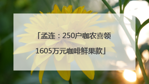 孟连：250户咖农喜领1605万元咖啡鲜果款