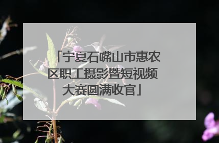 宁夏石嘴山市惠农区职工摄影暨短视频大赛圆满收官