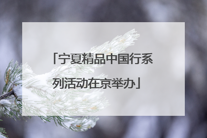 宁夏精品中国行系列活动在京举办