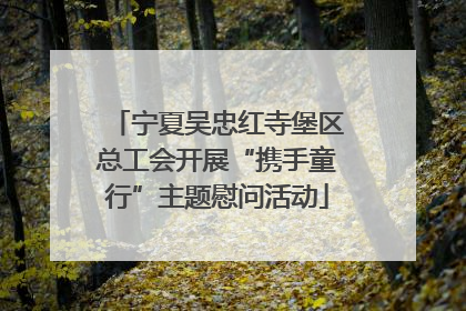 宁夏吴忠红寺堡区总工会开展“携手童行”主题慰问活动