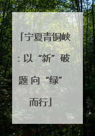 宁夏青铜峡：以“新”破题 向“绿”而行