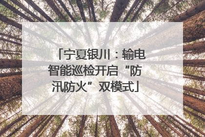 宁夏银川：输电智能巡检开启“防汛防火”双模式
