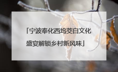 宁波奉化西坞茭白文化盛宴解锁乡村新风味