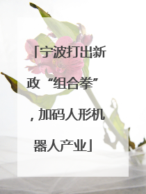 宁波打出新政“组合拳”，加码人形机器人产业