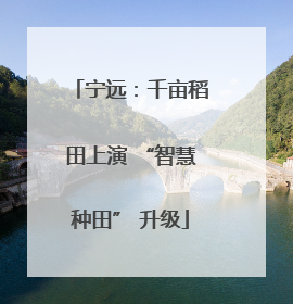 宁远：千亩稻田上演 “智慧种田” 升级