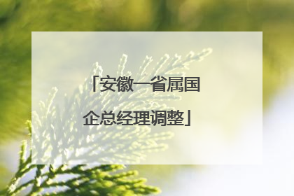 安徽一省属国企总经理调整
