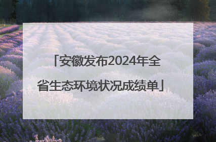 安徽发布2024年全省生态环境状况成绩单