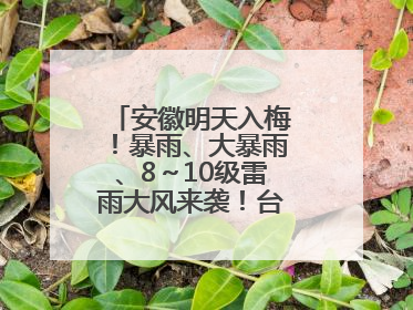 安徽明天入梅！暴雨、大暴雨、8～10级雷雨大风来袭！台风也有消息了