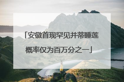 安徽首现罕见并蒂睡莲 概率仅为百万分之一