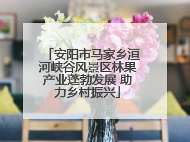 安阳市马家乡洹河峡谷风景区林果产业蓬勃发展 助力乡村振兴