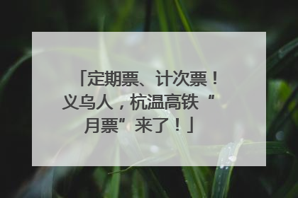 定期票、计次票！义乌人，杭温高铁“月票”来了！